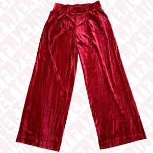 Red Velvet Velour Fit and Flare Leg Pants XS Target a new day Shiny Jewel Tone